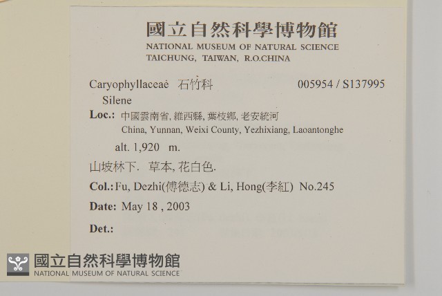 登錄號:S137995藏品圖，第2張