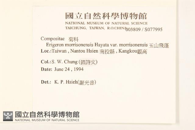 Accession Number:S077995 Collection Image, Figure 2, Total 2 Figures