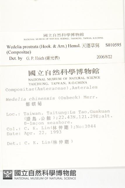 天蓬草舅藏品圖，第2張