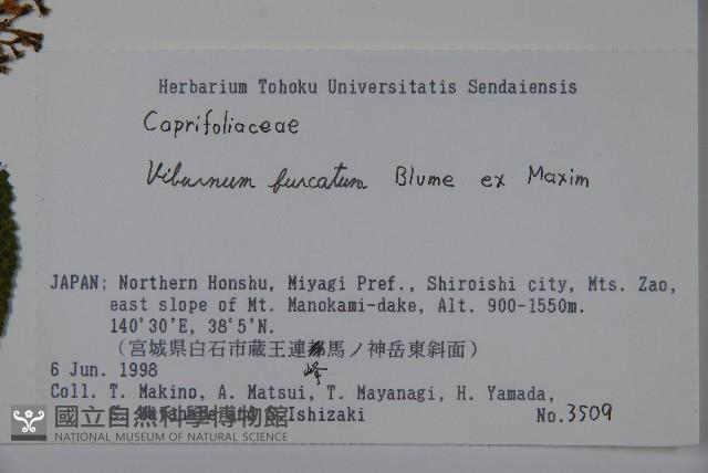 登錄號:S074595藏品圖，第2張