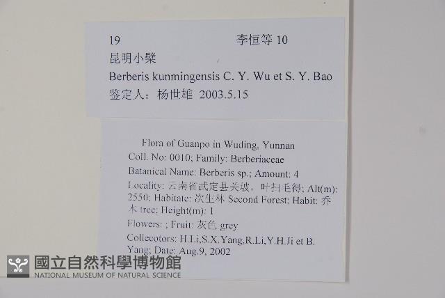 粉葉小檗藏品圖，第2張