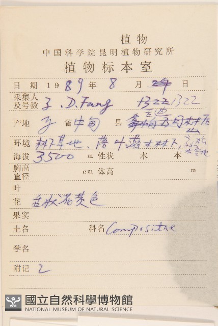 扁核木藏品圖，第2張