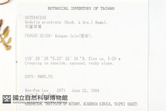 天蓬草舅藏品圖，第2張