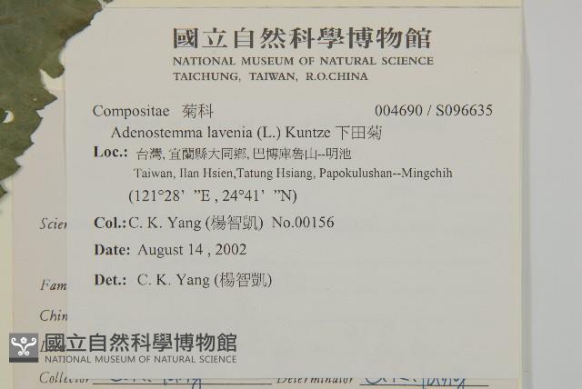 下田菊藏品圖，第2張