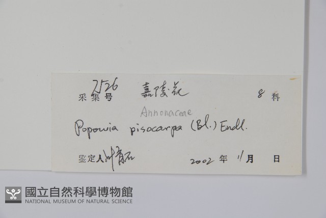 嘉陵花藏品圖，第2張