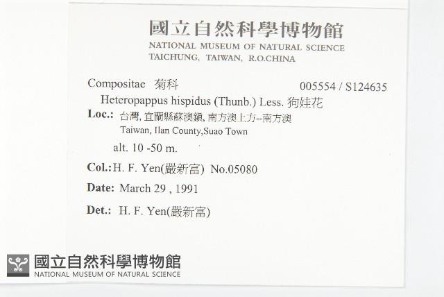 狗娃花藏品圖，第2張