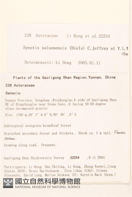 腺毛尾藥菊藏品圖，第2張