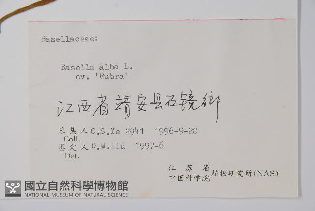 落葵藏品圖，第2張