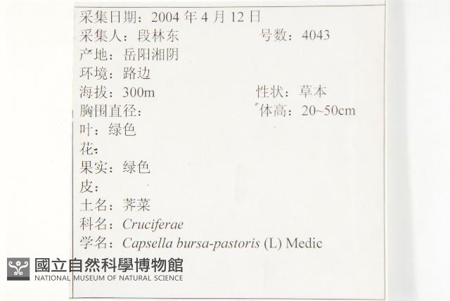 薺藏品圖，第2張