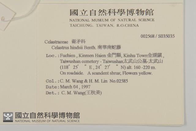 南華南蛇藤，青江藤藏品圖，第2張