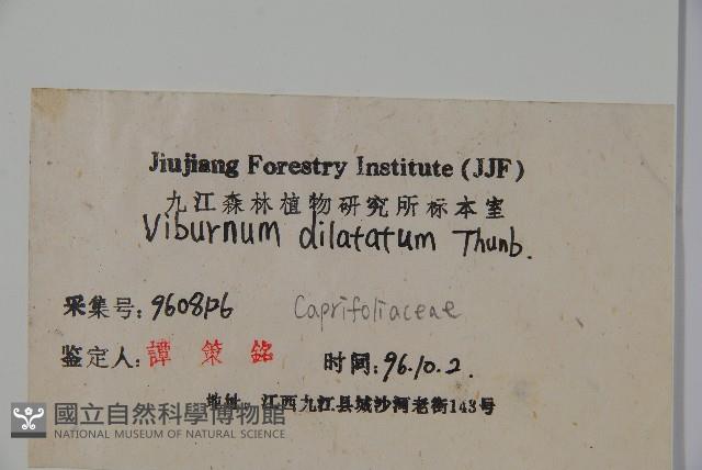 莢迷藏品圖，第2張