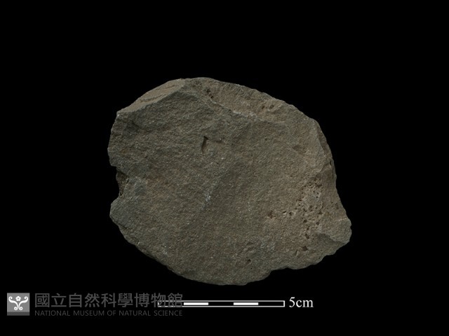 打製石刀藏品圖，第1張