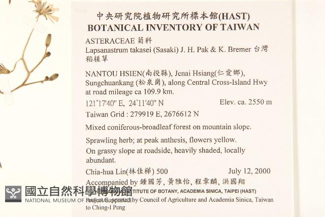 牛乳榕藏品圖，第2張