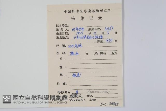 假鷹爪藏品圖，第2張
