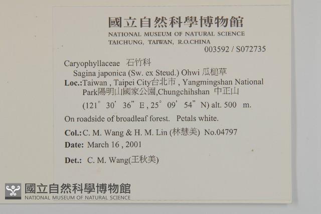 瓜槌草、漆姑草藏品圖，第2張