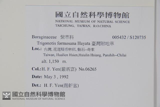 臺灣附地草藏品圖，第2張