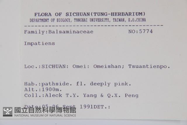 登錄號:S025735藏品圖，第2張