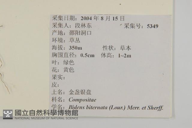 鬼針舅藏品圖，第2張