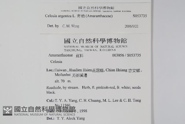 青葙藏品圖，第2張