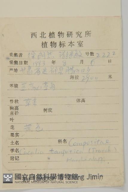 羽裂蟹甲草藏品圖，第2張