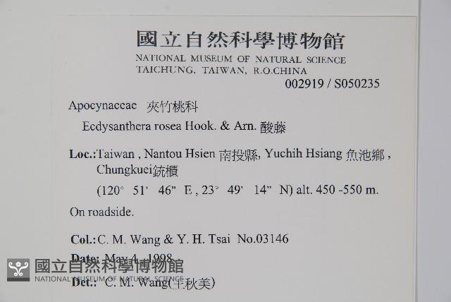 酸藤藏品圖，第2張