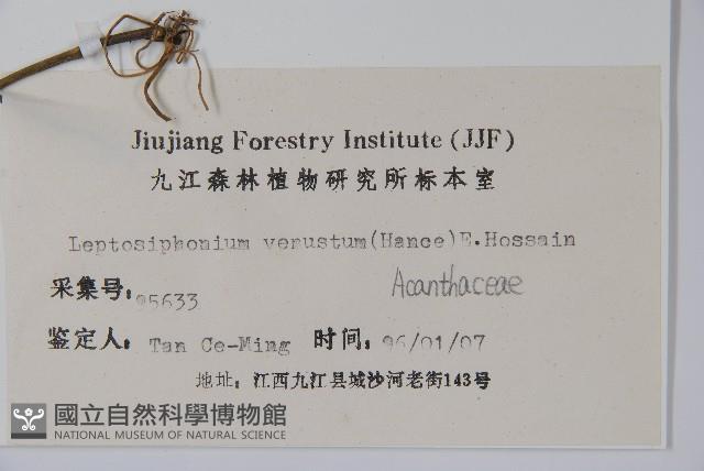 擬地皮消藏品圖，第2張