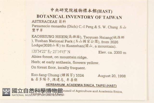 玉山蟹甲草藏品圖，第2張