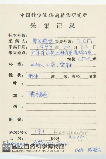 巴東胡頹子藏品圖，第2張