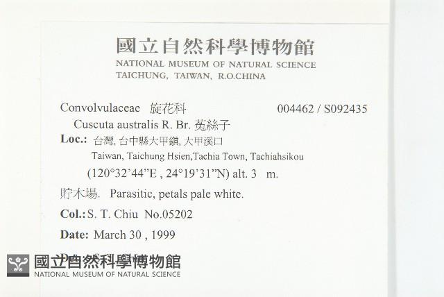 菟絲子藏品圖，第2張