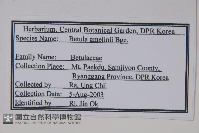 砂生樺藏品圖，第2張