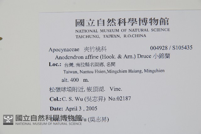 小錦蘭藏品圖，第2張