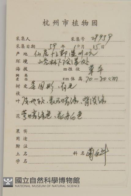 下田菊藏品圖，第2張