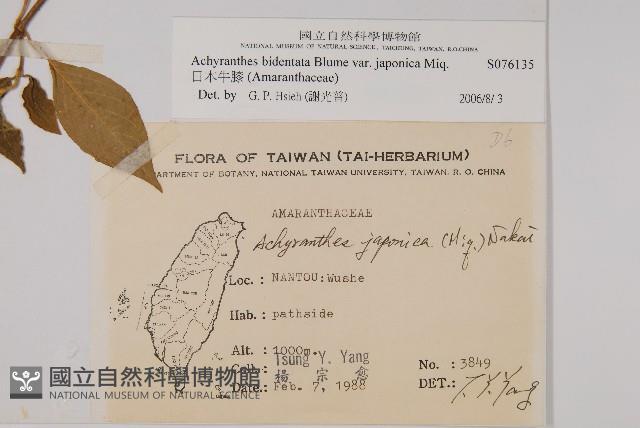 Accession Number:S076135 Collection Image, Figure 2, Total 2 Figures