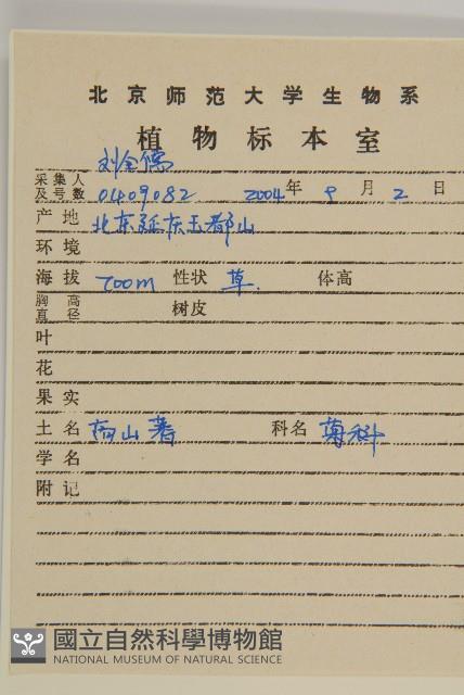 蓍草藏品圖，第2張