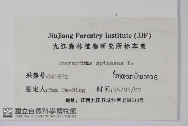 刺莧藏品圖，第2張