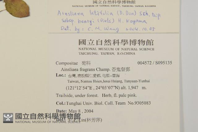臺灣鬼督郵藏品圖，第2張