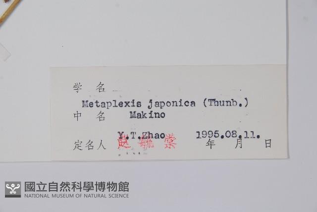 蘿藦藏品圖，第2張