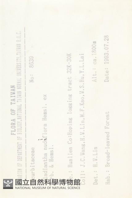 青牛膽藏品圖，第2張