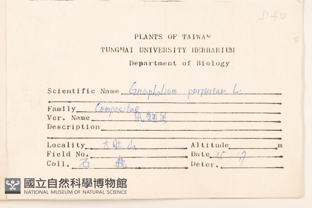 鼠麴舅藏品圖，第2張