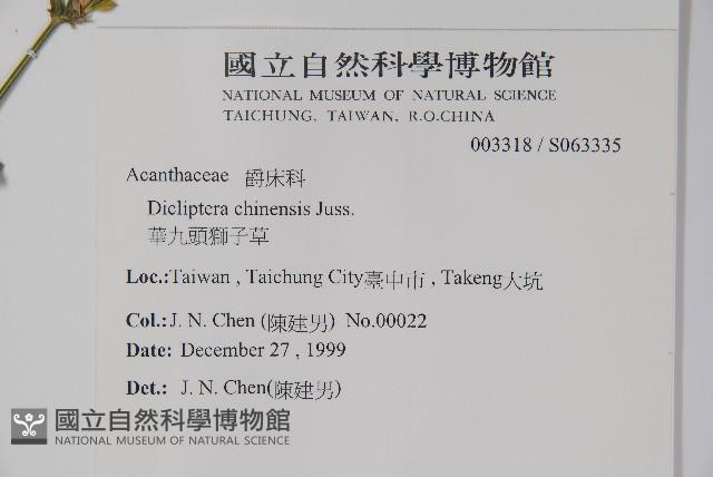 華九頭獅子草藏品圖，第2張