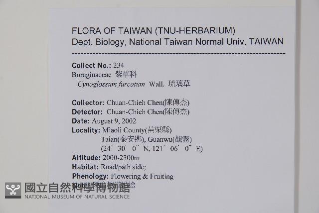 琉璃草藏品圖，第2張