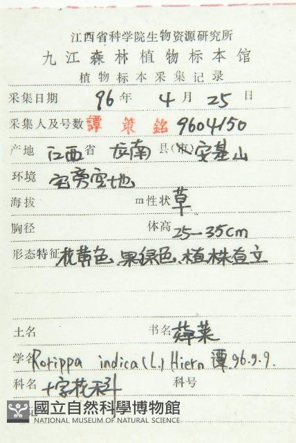 葶藶藏品圖，第2張