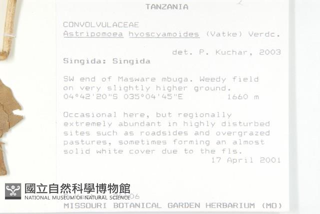 登錄號:S100835藏品圖，第2張