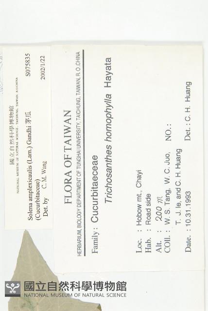 茅瓜藏品圖，第2張