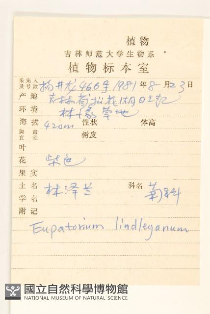 林澤蘭藏品圖，第2張