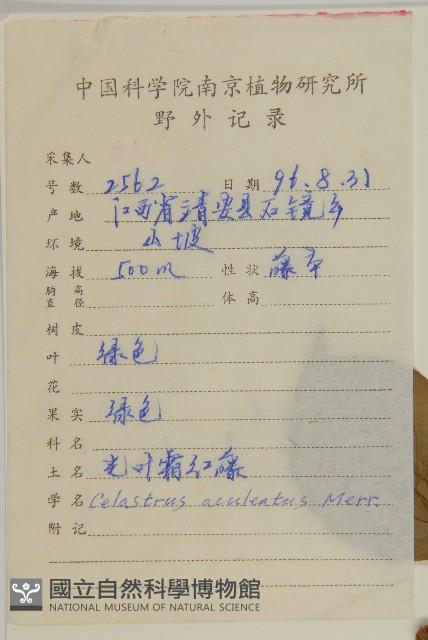 過山楓藏品圖，第2張