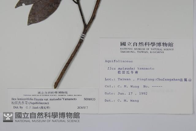 松田氏冬青藏品圖，第2張