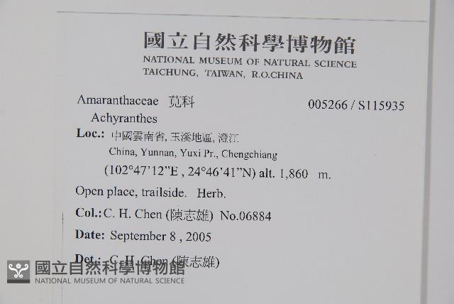 登錄號:S115935藏品圖，第2張