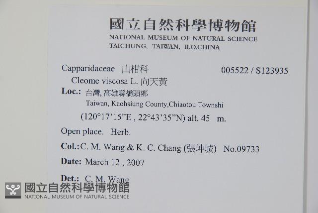 向天黃藏品圖，第2張