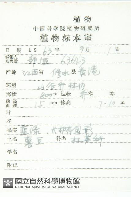 薯豆藏品圖，第2張